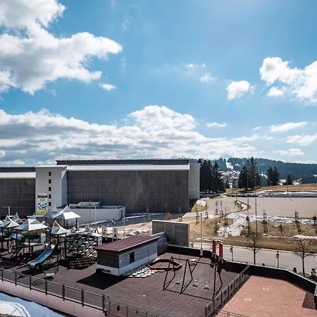 Am Gipfel Feldberg (Baden-Wurttemberg)