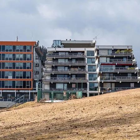 Am Feldberg Gipfel Apartment *